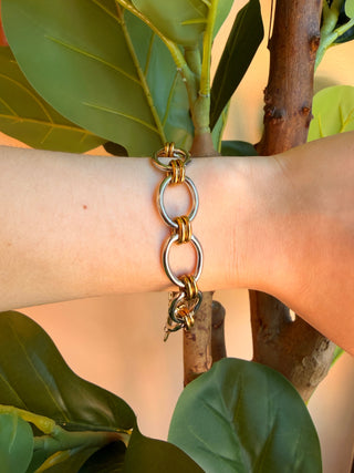 A gold-toned chain link bracelet in a background of green leaves and a warm beige wall.